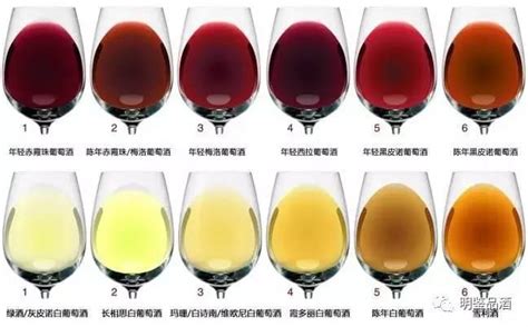 如何通过观察葡萄酒的颜色辨别酒的好坏？ - 知乎