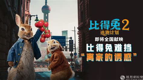 《比得兔2：逃跑计划》先导预告海报双发 原班人马再掀吸兔狂潮-焦点-中国影视网-影视娱乐行业专业网站