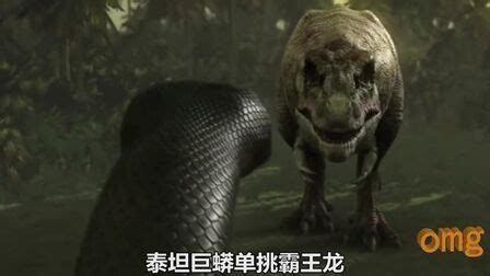 泰坦巨蟒(Titanoboa: Monster Snake)-电影-腾讯视频