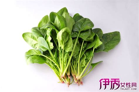 营养菠菜PNG图片素材下载_菠菜PNG_熊猫办公