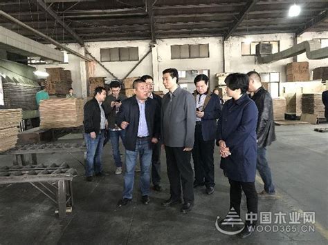 贵港覃塘做实企业服务助推木业产业发展-中国木业网