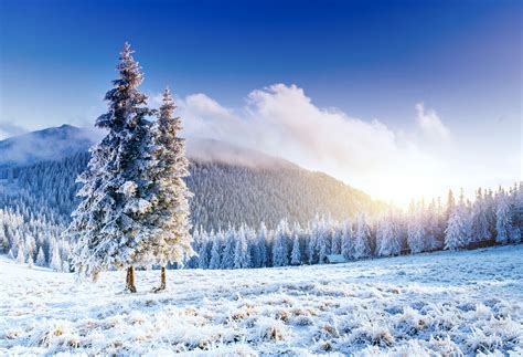 关于描写冬天的优美句子摘抄，如何让读者感受到冬天的美丽_育英教育网