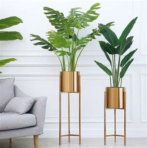 6 πρωτότυπες ιδέες για να στολίσεις φυτά εσωτερικού χώρου στο σπίτι σου ...