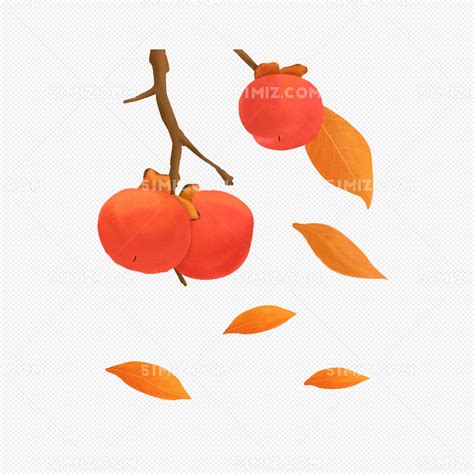 手绘秋天的果实之柿子图片素材免费下载 - 觅知网