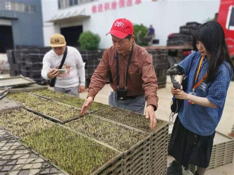 智慧农业让中国从“大国小农”到“大国强农”转变 - 知乎