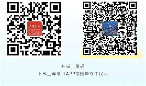 上海虹口网站设计制作(上海网站设计工作室)_V优客