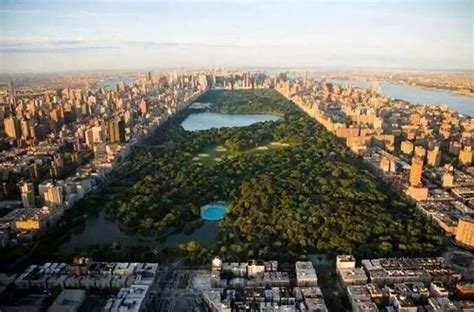 全国最大的中央公园，当地人的骄傲，就在那个城市|中央公园|公园|重庆_新浪新闻