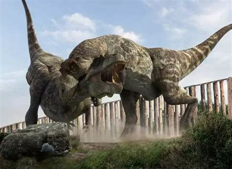 世界上最大的恐龙是那种？谁又最重？最长？最高？ - 知乎