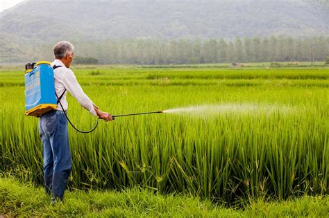 农药安全使用规定注意事项保护环境制度牌图片下载 - 觅知网