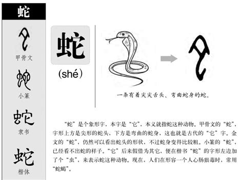 "蛇" 的详细解释 汉语字典