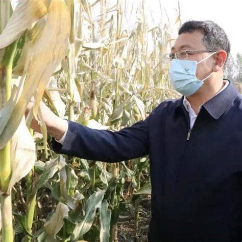 秋收过半！黑龙江收获农作物超12300万亩-中国农业机械化信息网
