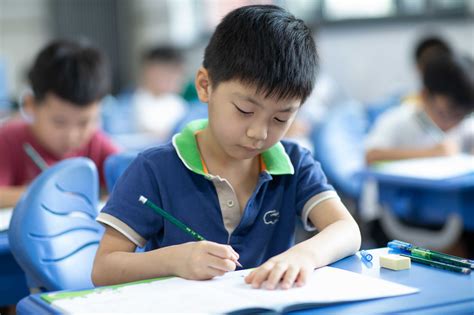 作业浓缩在一张A4纸、设计分层校本作业……教育部新规来了！给作业“做减法”，上海学校这样做