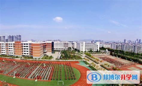 2022鹤壁市综合高中录取分数线(2023参考)