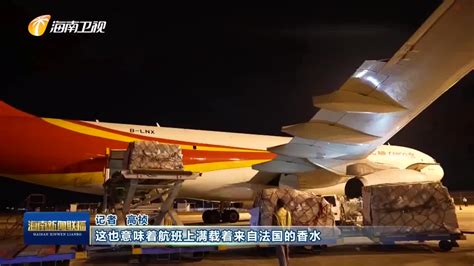 港媒：接载“钻石公主”号上106名香港居民的首班包机8时35分抵港