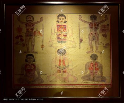 藏医唐卡,人体脏腑解剖形态,传统文化,文化艺术,摄影素材,汇图网www.huitu.com