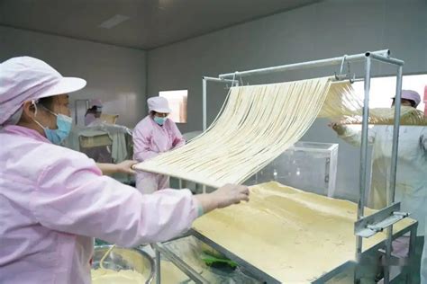 河南面条机-挂面生产线厂家-全自动挂面机-郑州市云龙食品机械有限公司
