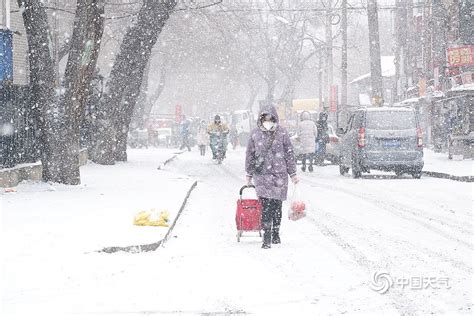 风雪过后 哈尔滨民众忙清雪保畅通-图片频道
