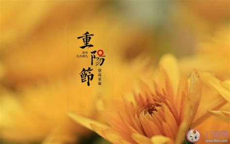 2020重阳节的祝福语简单句子带图 2020重阳节的简单祝福语图片说说 _八宝网