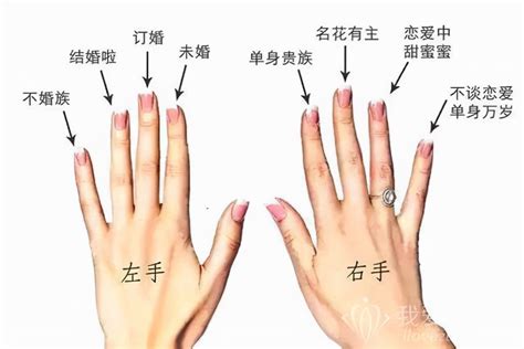 已婚女士钻戒戴哪个手指（女生戒指的戴法图解教程，女生左右手戒指戴法全解） | 说明书网