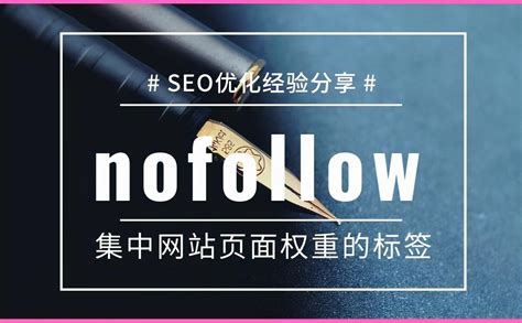 网站的seo如何优化（seo如何增加网站权重）-8848SEO