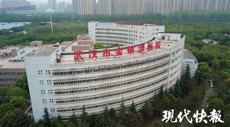 武汉金银潭医院新建项目全部封顶 - 湖北日报