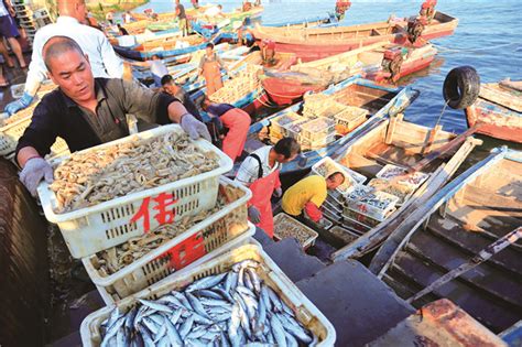 威海市海洋发展局 媒体聚焦 中国渔业报丨威海海鲜及海洋预制菜按下开拓全球市场“快进键”