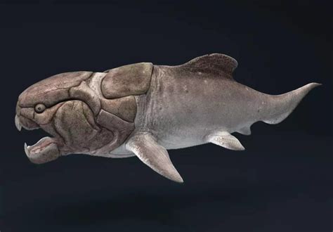 幸好这三种动物灭绝了：邓氏鱼/巨齿鲨等(第一为海洋霸主)_奇趣解密网