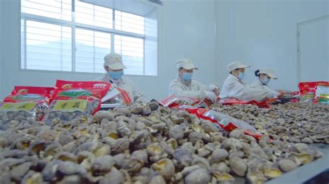 年产值30亿元！南漳县香菇产业入选省级名单 - 湖北日报新闻客户端