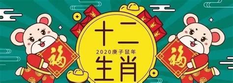 【中藝堂】2020庚子鼠年生肖纪念币流通纪念币鼠年纪念币单枚礼册装_纪念币_精美茶器丨纪念币_北京·中藝堂官网·让古老的艺术走进您的生活！