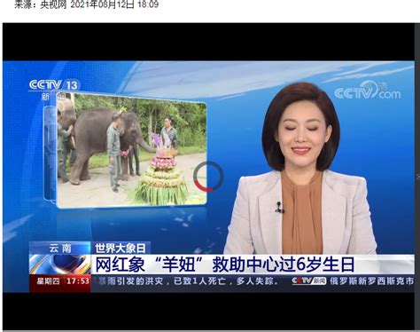 [新闻直播间]云南 世界大象日 网红象“羊妞”救助中心过6岁生日 _www.isenlin.cn