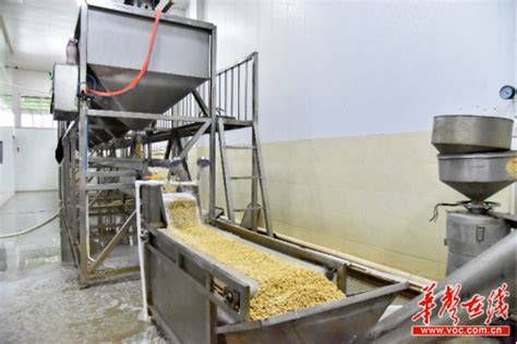 豆腐加工机械 永进豆制品生产线