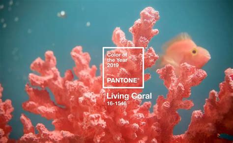 PANTONE潘通发布2019年代表色/流行色：PANTONE 16-1546 Living Coral活珊瑚橘 | 色彩管理网