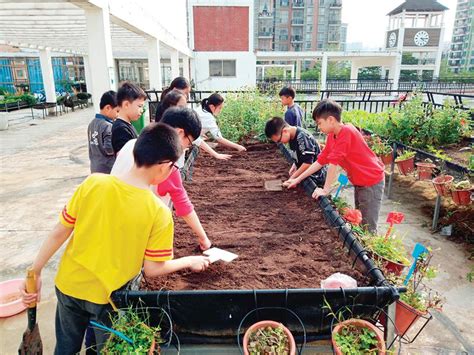 学生动手种菜，禅城农业农村局推动都市“微农业”进校园-头条-佛山新闻网