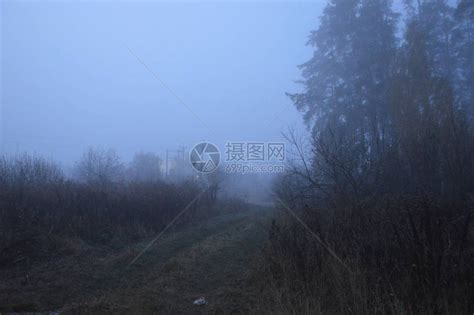 在森林里过夜后的晨雾高清图片下载-正版图片504430989-摄图网