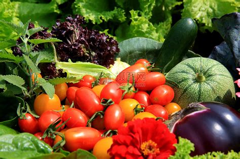 很多新鲜的蔬菜和水果高清图片下载-正版图片500521607-摄图网