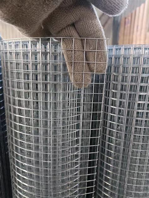热镀锌电焊网 抹墙铁丝网 建筑外墙用钢丝网现货 旭亮支持定做