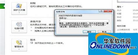 Excel2010加密文档教程_华军软件园