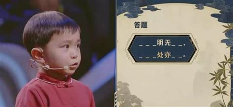 6岁的王恒屹在《中国诗词大会》夺冠：放养式教育，只是骗了自己|诗词|王恒|王恒屹_新浪新闻