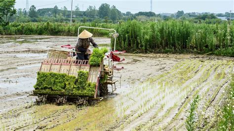 三农日报（6月20日）智慧农业：农业生产高级阶段