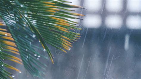 雨天的图片(下雨天的风景图片)-精品素材-视觉癖