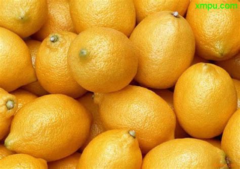 柠檬不知火的品种介绍,它究竟是什么品种-柑桔人管家