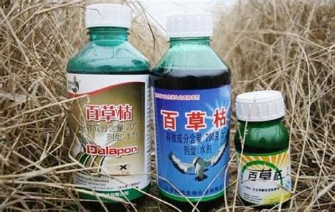 郑州开售国产新冠口服药阿兹夫定 每瓶330元 凭处方购买-大河网