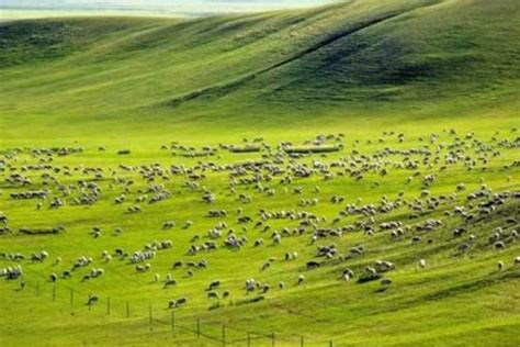 内蒙古有什么好玩的地方 内蒙旅游必去10大景点(3)_巴拉排行榜
