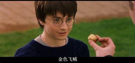 哈利·波特电影全集 Harry Potter(2001-2011) 1-8部国语版/英语版 MP4 内嵌中英字幕 1080P 高清下载地址 – 光影使者