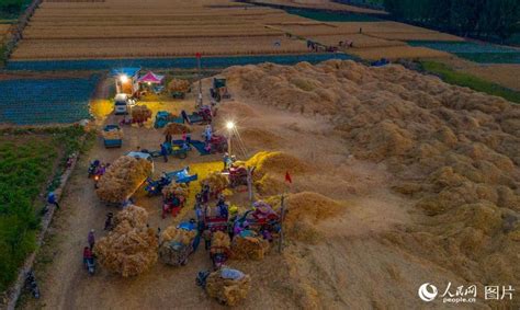 【在希望的田野上】全国麦收进度过八成_四川在线