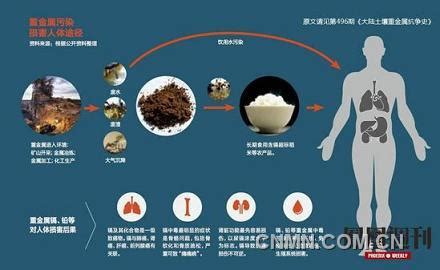 生活中的汞中毒 健康教育 -首都医科大学附属北京朝阳医院