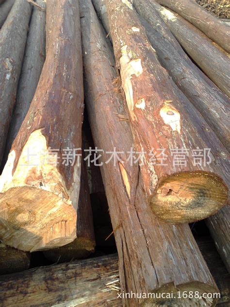 港区直发柳杉原木 杉木杆 2.3米防腐寿材 北美黄桧 日本桧木-阿里巴巴