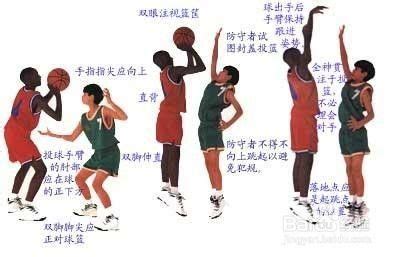 打篮球基本动作学习介绍-百度经验