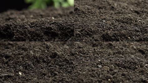 泥土,特写,耕地,枝繁叶茂,黑色,泥炭,堆肥,肮脏的,肥料,草皮,摄影素材,汇图网www.huitu.com