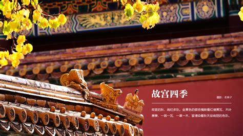 首都之窗(www.beijing.gov.cn)北京市人民政府门户网站
